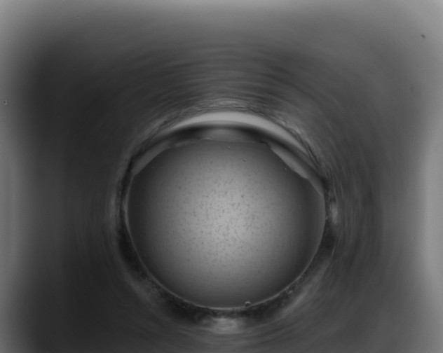 X0000088380352200705291352
