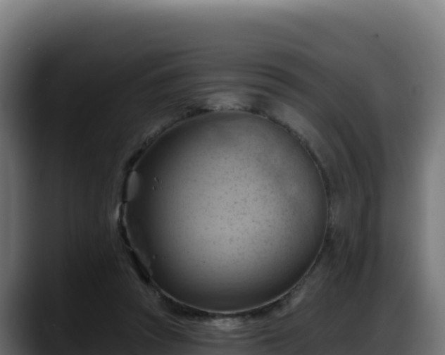 X0000088380353200705291352