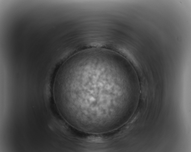 X0000088380354200705291352
