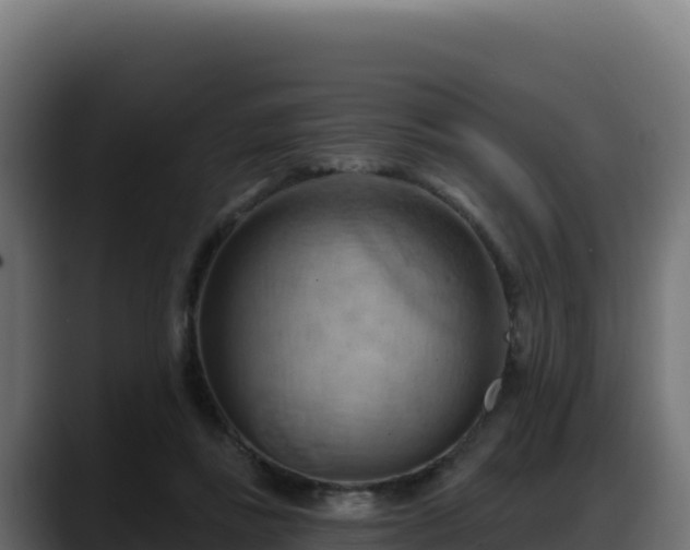X0000088380355200705291352