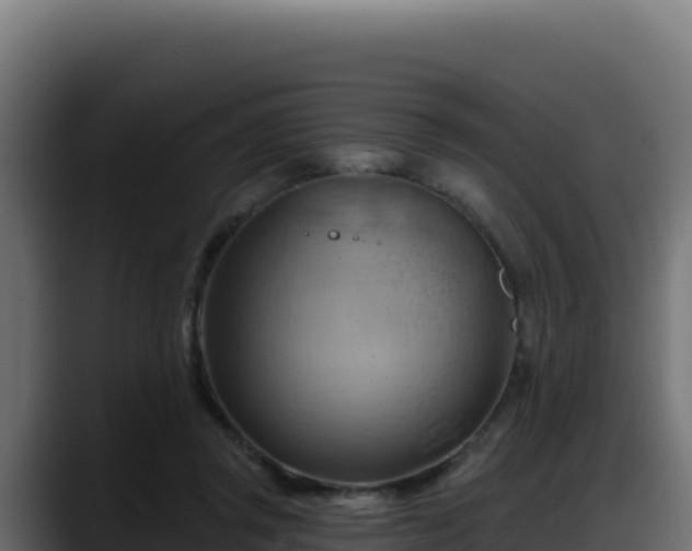 X0000088380357200705291352