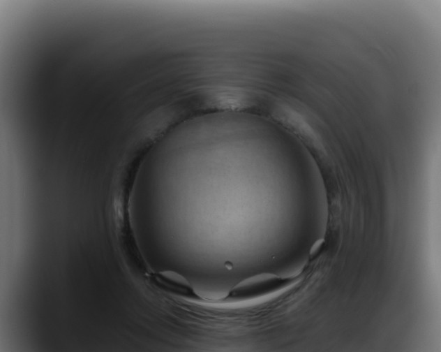 X0000088380358200705291352