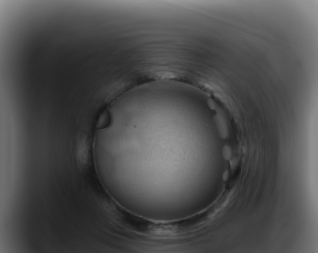X0000088380359200705291352