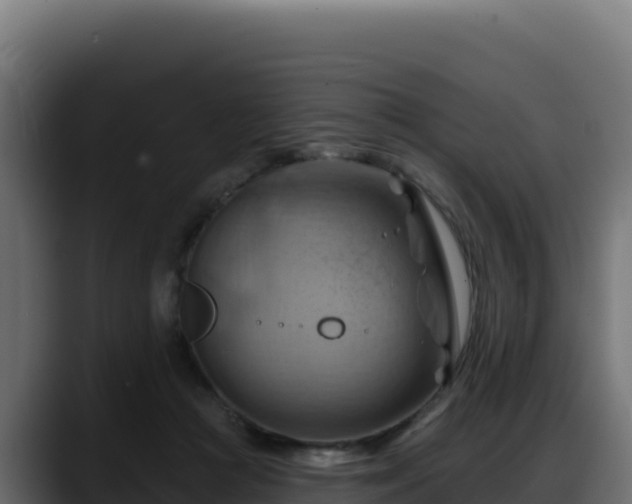 X0000088380361200705291352