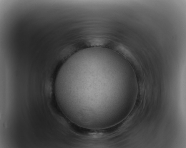 X0000088380362200705291352