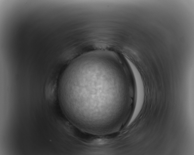 X0000088380364200705291352