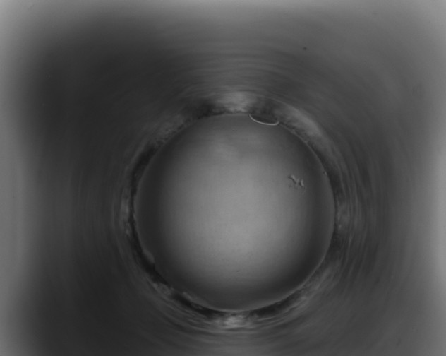 X0000088380365200705291352
