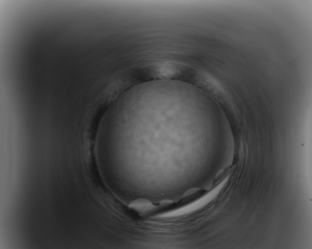 X0000088380366200705291352