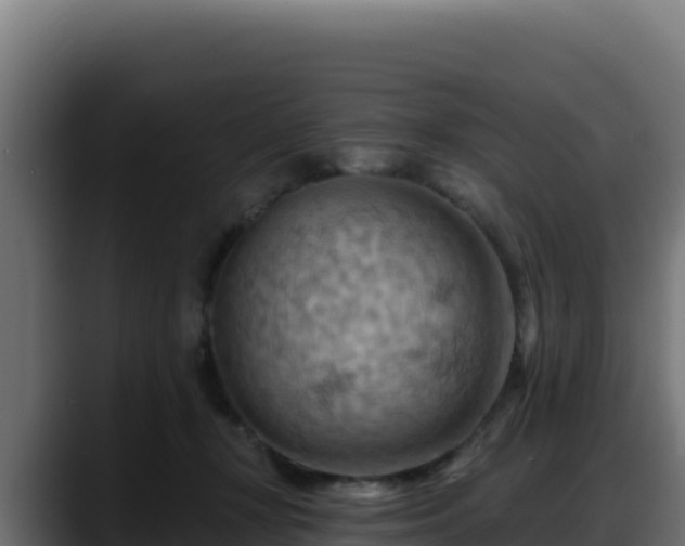 X0000088380367200705291352
