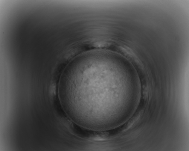 X0000088380368200705291352