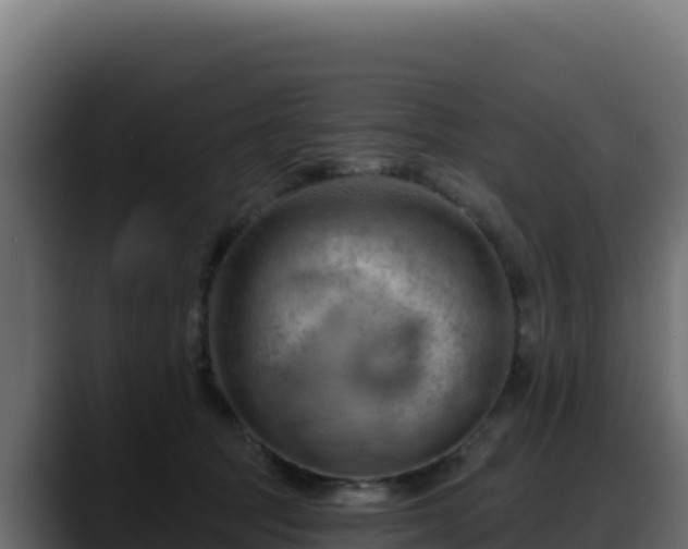 X0000088380369200705291352