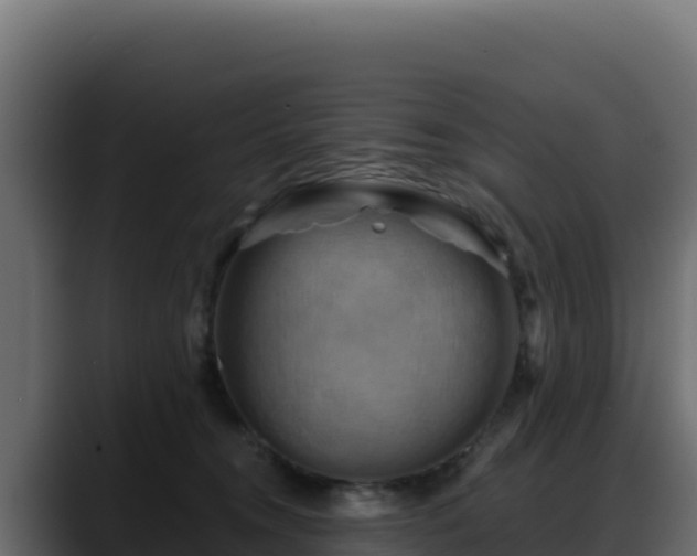 X0000088380372200705291352