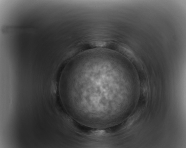 X0000088380374200705291352