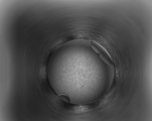 X0000088380378200705291352