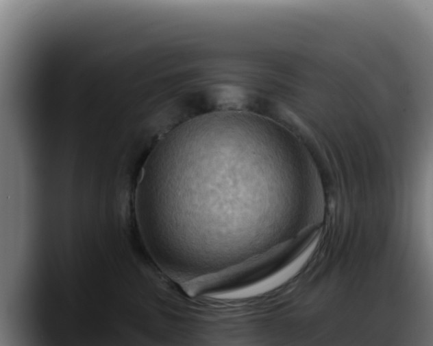 X0000088380379200705291352