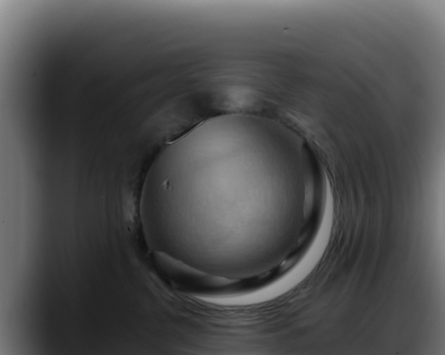 X0000088380380200705291352
