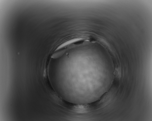 X0000088380381200705291352