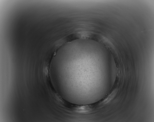 X0000088380382200705291352