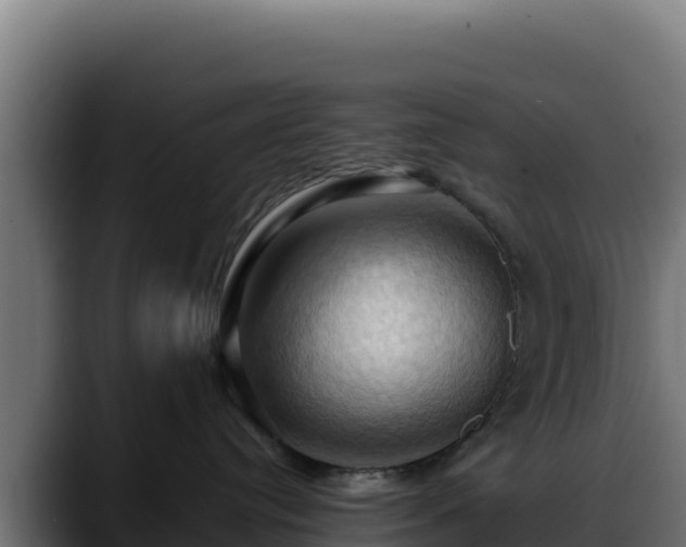 X0000088380384200705291353