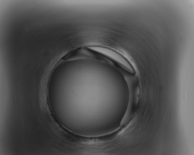 X0000088380385200705291352