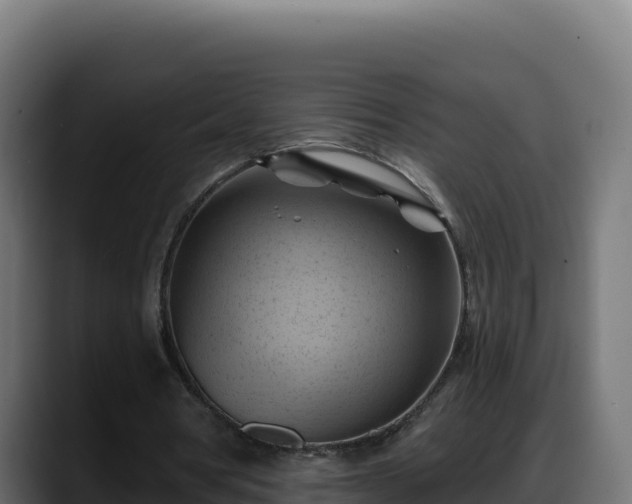 X0000088380386200705291352