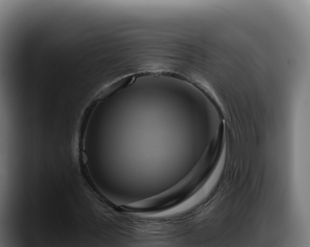 X0000088380387200705291352