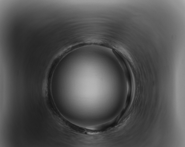X0000088380388200705291352