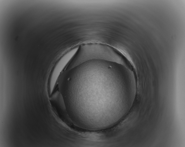X0000088380389200705291352