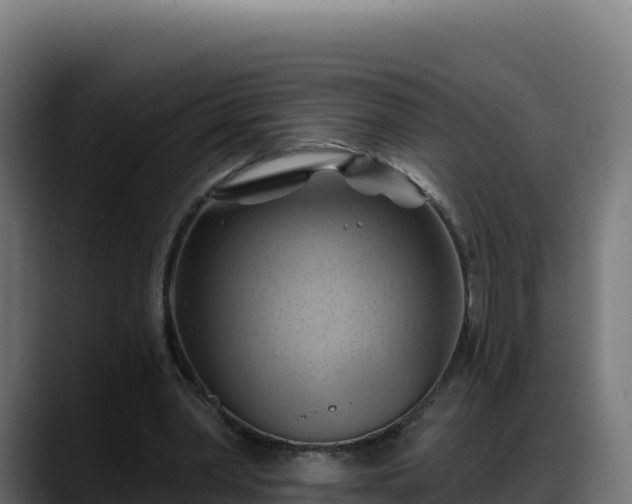 X0000088380390200705291352
