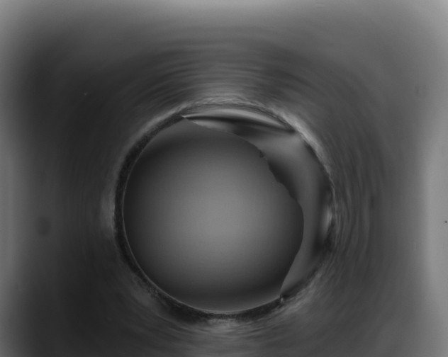 X0000088380391200705291352