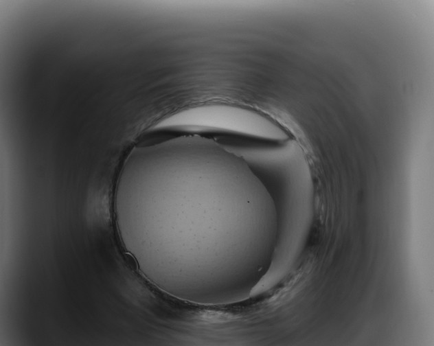 X0000088380393200705291352