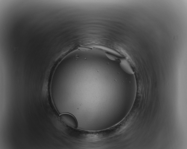 X0000088380394200705291352