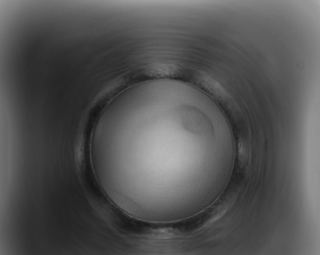 X0000088380396200705291352