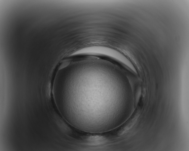 X0000088380397200705291352