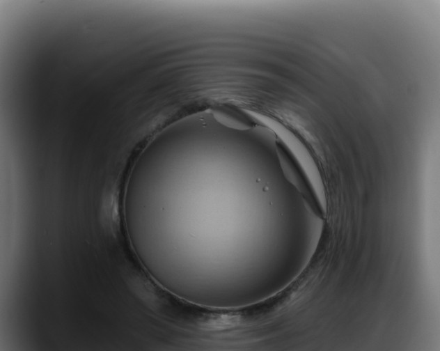 X0000088380398200705291352
