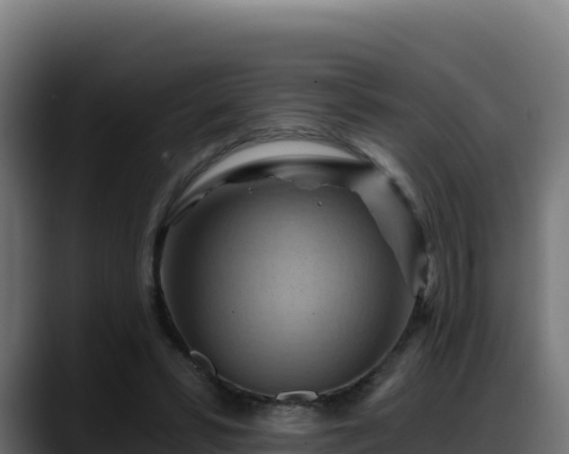 X0000088380399200705291352