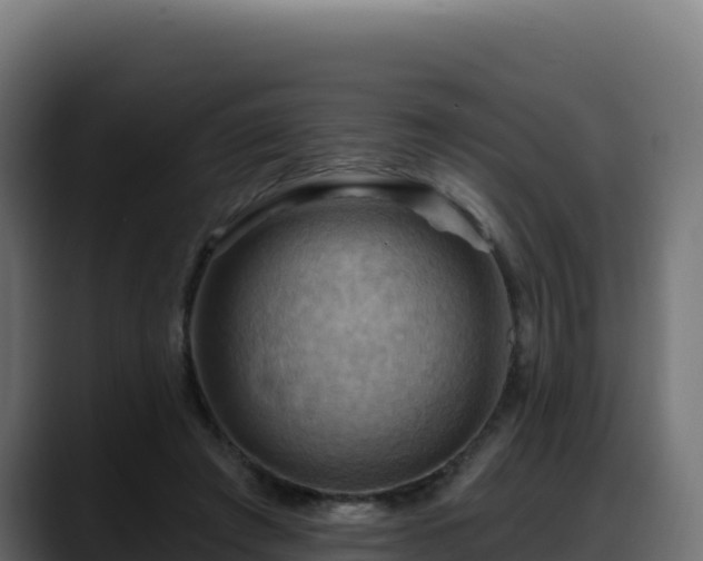 X0000088380401200705291352