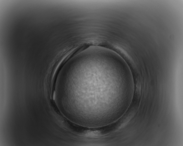 X0000088380403200705291352