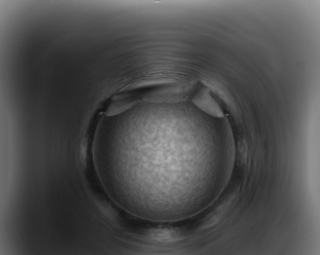 X0000088380404200705291352