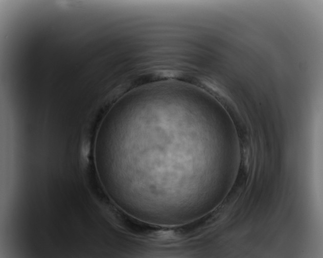 X0000088380406200705291352