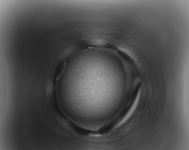 X0000088380407200705291352