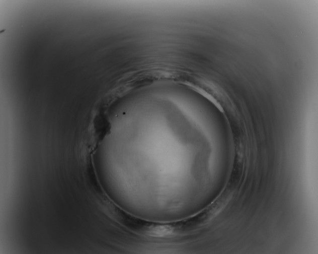 X0000088380409200705291352