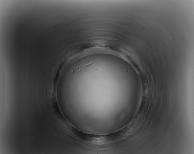 X0000088380411200705291352