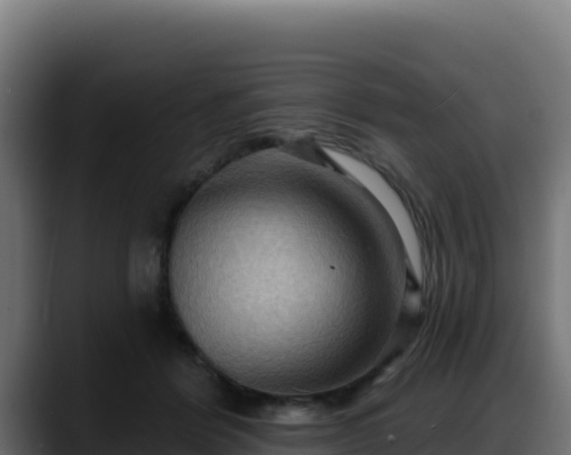 X0000088380412200705291352