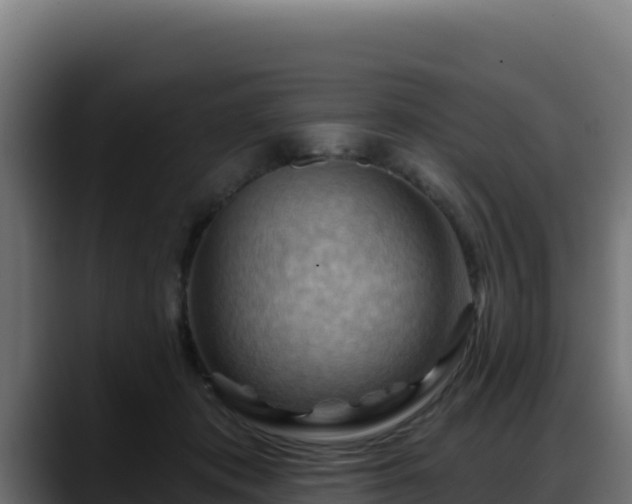 X0000088380413200705291352