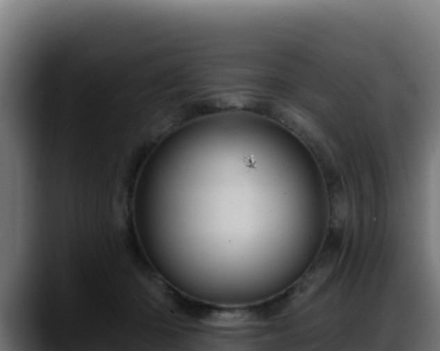 X0000088380414200705291352