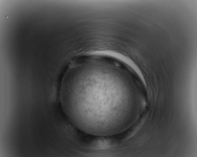 X0000088380416200705291351