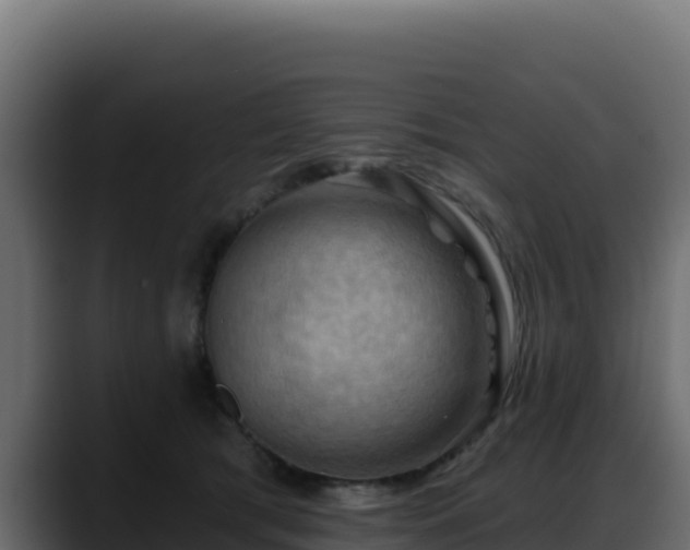 X0000088380417200705291351