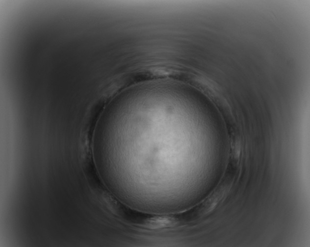 X0000088380418200705291351
