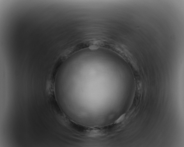 X0000088380419200705291351